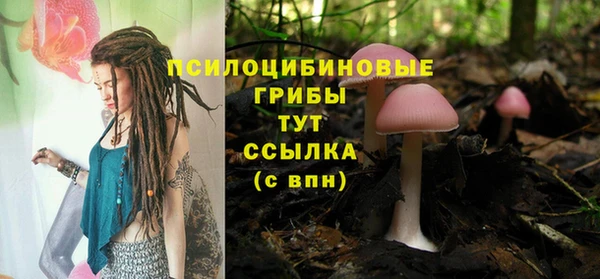 PSILOCYBIN Арсеньев