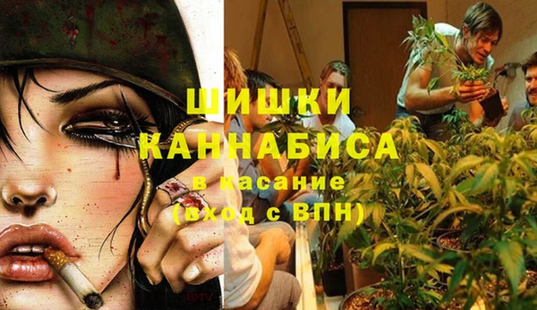 PSILOCYBIN Арсеньев