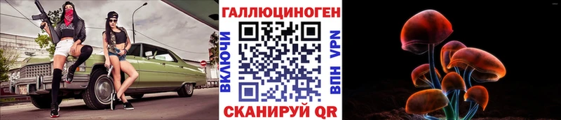 купить Бабаево Галлюциногенные грибы GOLDEN TEACHER